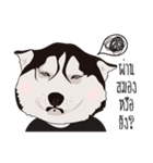 Nongmon＆Friends DOG（個別スタンプ：5）