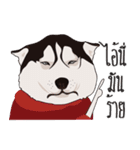 Nongmon＆Friends DOG（個別スタンプ：7）