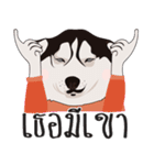 Nongmon＆Friends DOG（個別スタンプ：13）