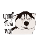 Nongmon＆Friends DOG（個別スタンプ：19）