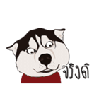 Nongmon＆Friends DOG（個別スタンプ：21）