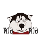 Nongmon＆Friends DOG（個別スタンプ：22）