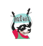 Nongmon＆Friends DOG（個別スタンプ：30）
