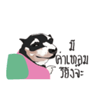 Nongmon＆Friends DOG（個別スタンプ：31）