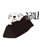 Nongmon＆Friends DOG（個別スタンプ：37）