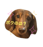 田中チョコ（個別スタンプ：13）
