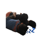 Dou Dou and I Have Fun（個別スタンプ：16）