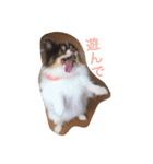 くちゃん（個別スタンプ：2）
