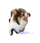 くちゃん（個別スタンプ：3）