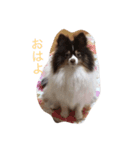 くちゃん（個別スタンプ：6）