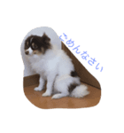 くちゃん（個別スタンプ：7）