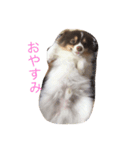 くちゃん（個別スタンプ：8）