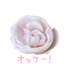 美しい薔薇（個別スタンプ：1）