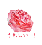 美しい薔薇（個別スタンプ：2）