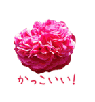 美しい薔薇（個別スタンプ：4）