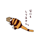 三毛猫きなこさん（個別スタンプ：5）