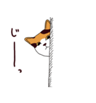 三毛猫きなこさん（個別スタンプ：6）