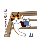 三毛猫きなこさん（個別スタンプ：9）