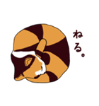 三毛猫きなこさん（個別スタンプ：11）