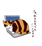 三毛猫きなこさん（個別スタンプ：13）