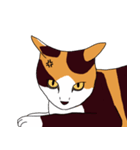 三毛猫きなこさん（個別スタンプ：14）