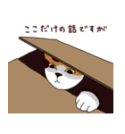 三毛猫きなこさん（個別スタンプ：15）