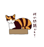 三毛猫きなこさん（個別スタンプ：16）