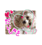 犬のじょーたろー（個別スタンプ：2）
