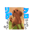 犬のじょーたろー（個別スタンプ：3）