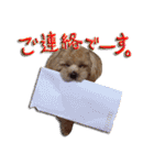 犬のじょーたろー（個別スタンプ：10）