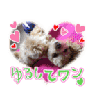 犬のじょーたろー（個別スタンプ：18）