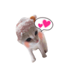 長崎のねこ（個別スタンプ：2）
