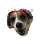 悩めるエル子たん（個別スタンプ：2）