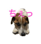 悩めるエル子たん（個別スタンプ：3）