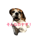 悩めるエル子たん（個別スタンプ：14）
