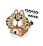 キジ猫のトラちゃん（個別スタンプ：1）
