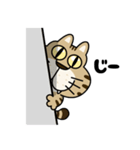 キジ猫のトラちゃん（個別スタンプ：5）