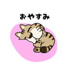 キジ猫のトラちゃん（個別スタンプ：7）
