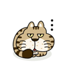 キジ猫のトラちゃん（個別スタンプ：8）