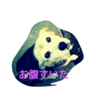RUIちゃんスタンプ（個別スタンプ：5）