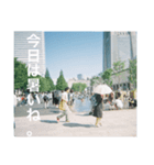 恋する、ふいるむしゃしん。（個別スタンプ：3）