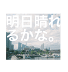 恋する、ふいるむしゃしん。（個別スタンプ：6）