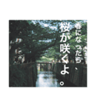 恋する、ふいるむしゃしん。（個別スタンプ：8）