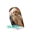 といぷー好きのための！！（個別スタンプ：8）