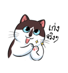 KaowSan Fatcat（個別スタンプ：2）