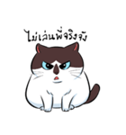 KaowSan Fatcat（個別スタンプ：3）