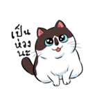 KaowSan Fatcat（個別スタンプ：4）
