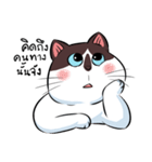 KaowSan Fatcat（個別スタンプ：5）
