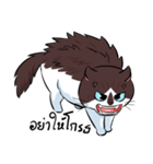 KaowSan Fatcat（個別スタンプ：6）