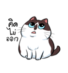 KaowSan Fatcat（個別スタンプ：8）